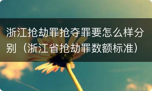 浙江抢劫罪抢夺罪要怎么样分别（浙江省抢劫罪数额标准）