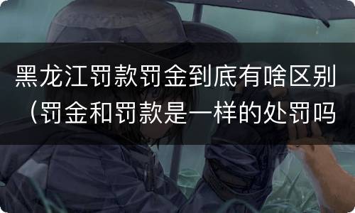 黑龙江罚款罚金到底有啥区别(罚金和罚款是一样的处罚吗)