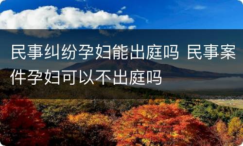 民事纠纷孕妇能出庭吗 民事案件孕妇可以不出庭吗