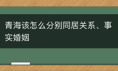 青海该怎么分别同居关系、事实婚姻