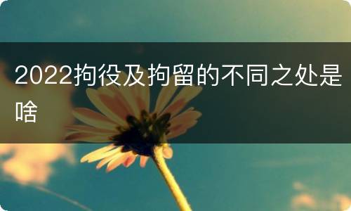 2022拘役及拘留的不同之处是啥