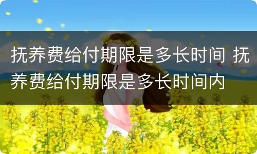 抚养费给付期限是多长时间 抚养费给付期限是多长时间内