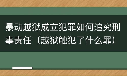 暴动越狱成立犯罪如何追究刑事责任（越狱触犯了什么罪）