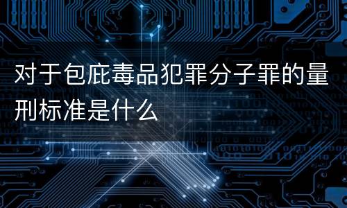 对于包庇毒品犯罪分子罪的量刑标准是什么