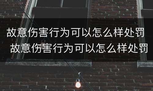 故意伤害行为可以怎么样处罚 故意伤害行为可以怎么样处罚呢