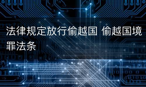 法律规定放行偷越国 偷越国境罪法条