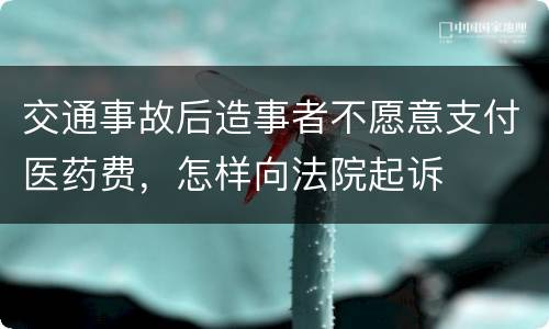 交通事故后造事者不愿意支付医药费，怎样向法院起诉