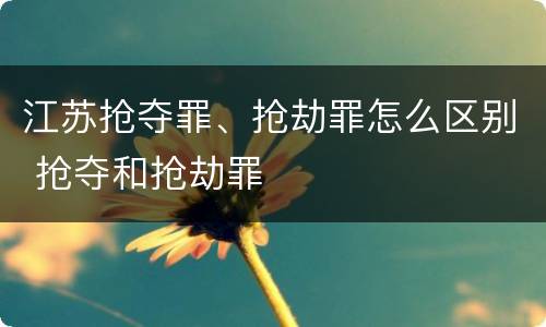 江苏抢夺罪、抢劫罪怎么区别 抢夺和抢劫罪