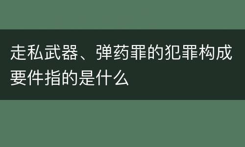 走私武器、弹药罪的犯罪构成要件指的是什么