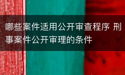 哪些案件适用公开审查程序 刑事案件公开审理的条件