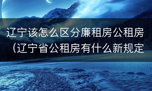 辽宁该怎么区分廉租房公租房（辽宁省公租房有什么新规定）