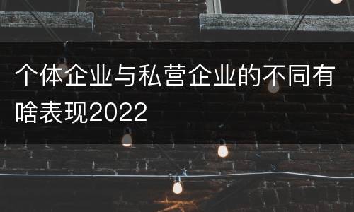 个体企业与私营企业的不同有啥表现2022
