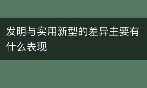 发明与实用新型的差异主要有什么表现
