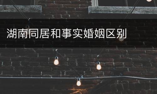湖南同居和事实婚姻区别