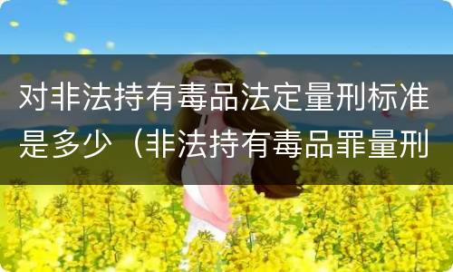 对非法持有毒品法定量刑标准是多少（非法持有毒品罪量刑指导意见）