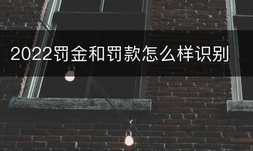 2022罚金和罚款怎么样识别