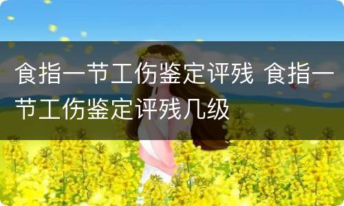食指一节工伤鉴定评残 食指一节工伤鉴定评残几级