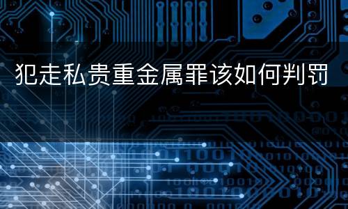 犯走私贵重金属罪该如何判罚