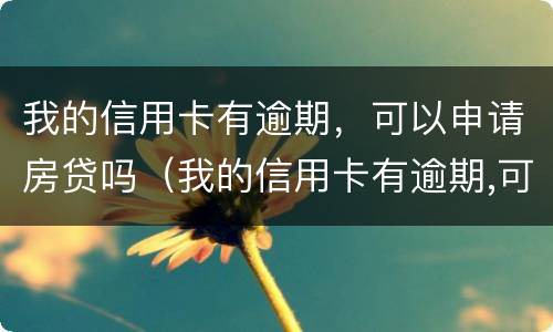 我的信用卡有逾期，可以申请房贷吗（我的信用卡有逾期,可以申请房贷吗怎么办）