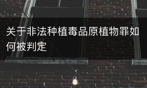 关于非法种植毒品原植物罪如何被判定