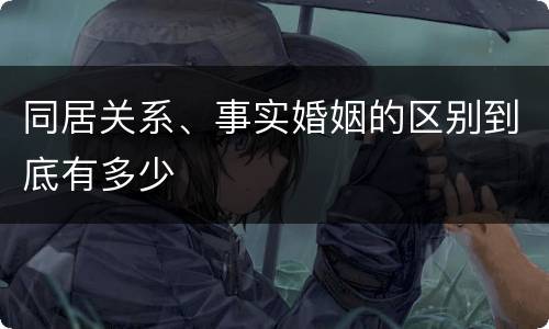 同居关系、事实婚姻的区别到底有多少