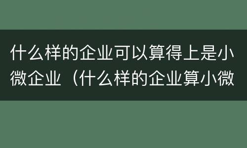 什么样的企业可以算得上是小微企业（什么样的企业算小微企业?什么样的算中小微企业?）