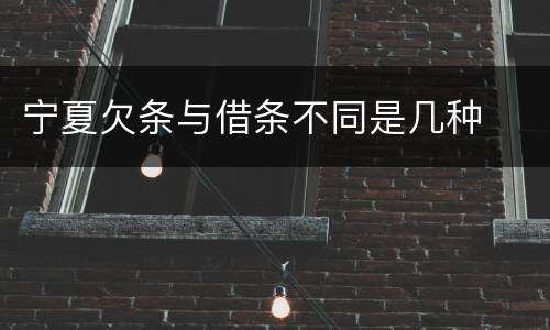 宁夏欠条与借条不同是几种