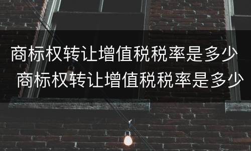 商标权转让增值税税率是多少 商标权转让增值税税率是多少啊