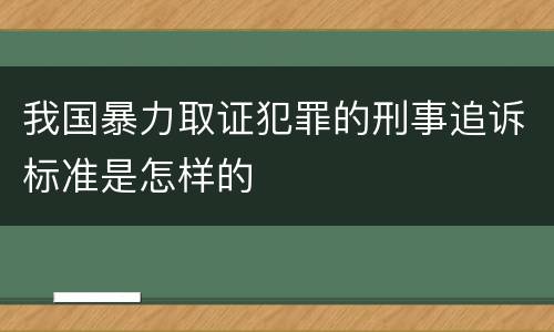 我国暴力取证犯罪的刑事追诉标准是怎样的