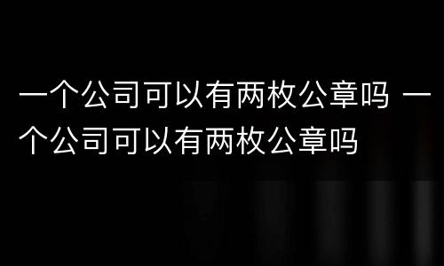 一个公司可以有两枚公章吗 一个公司可以有两枚公章吗