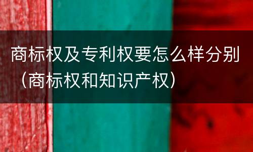 商标权及专利权要怎么样分别（商标权和知识产权）