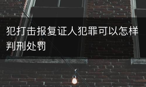 犯打击报复证人犯罪可以怎样判刑处罚