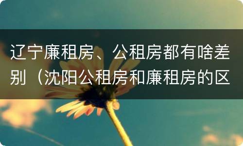 辽宁廉租房、公租房都有啥差别（沈阳公租房和廉租房的区别）