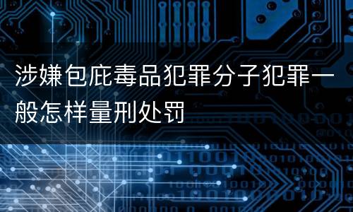 涉嫌包庇毒品犯罪分子犯罪一般怎样量刑处罚