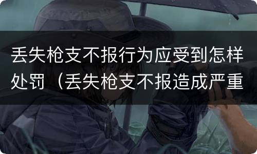 丢失枪支不报行为应受到怎样处罚（丢失枪支不报造成严重后果）