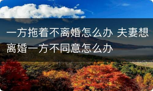 一方拖着不离婚怎么办 夫妻想离婚一方不同意怎么办