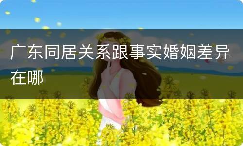 广东同居关系跟事实婚姻差异在哪