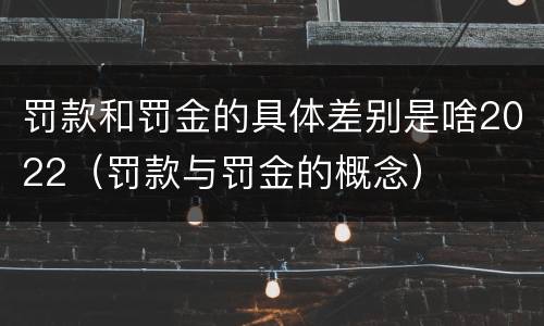 罚款和罚金的具体差别是啥2022（罚款与罚金的概念）