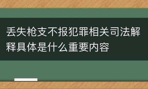 丢失枪支不报犯罪相关司法解释具体是什么重要内容