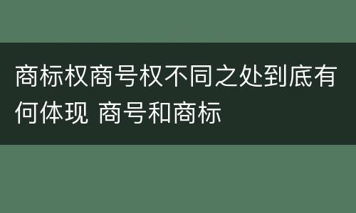 商标权商号权不同之处到底有何体现 商号和商标