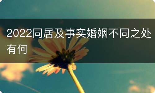 2022同居及事实婚姻不同之处有何