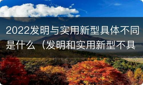 2022发明与实用新型具体不同是什么（发明和实用新型不具有什么特性）