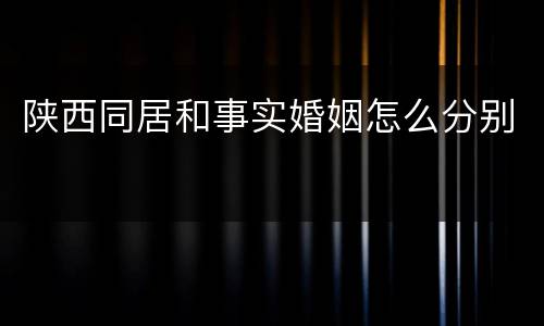 陕西同居和事实婚姻怎么分别