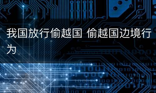 我国放行偷越国 偷越国边境行为