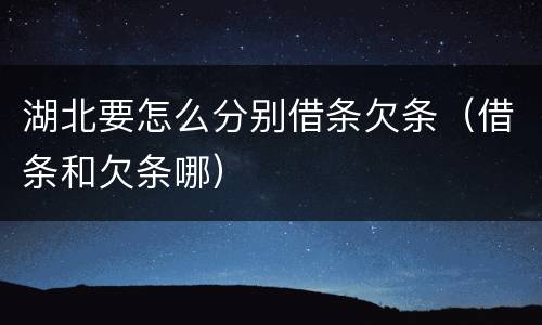 湖北要怎么分别借条欠条（借条和欠条哪）