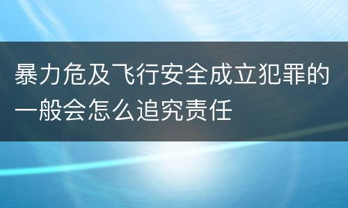 暴力危及飞行安全成立犯罪的一般会怎么追究责任
