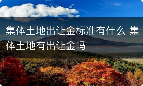 集体土地出让金标准有什么 集体土地有出让金吗