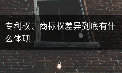 专利权、商标权差异到底有什么体现