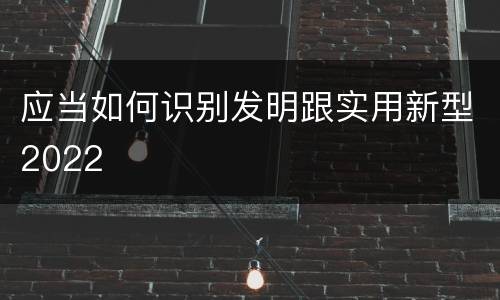 应当如何识别发明跟实用新型2022