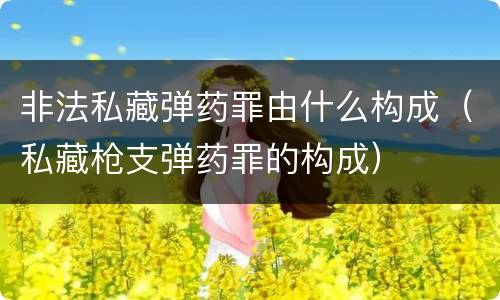 非法私藏弹药罪由什么构成（私藏枪支弹药罪的构成）